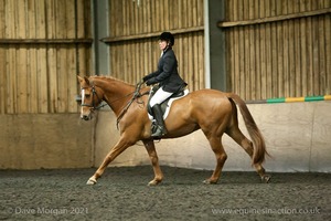 Isis Dressage Crown Farm Show 29th April 2012